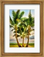 Triple Palm Fine Art Print