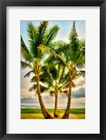 Triple Palm Fine Art Print