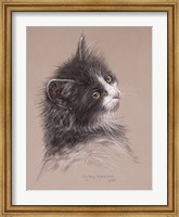Pretty Kitty Fine Art Print