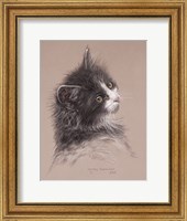 Pretty Kitty Fine Art Print