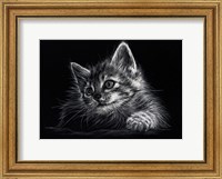 Kitten Fine Art Print