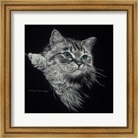 Kitten II Fine Art Print