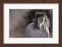 Amici Fine Art Print