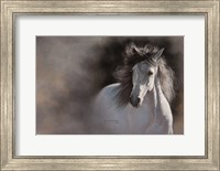 Amici Fine Art Print