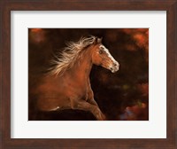 Cheyenne Fine Art Print