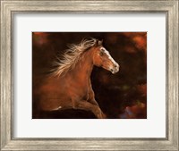 Cheyenne Fine Art Print