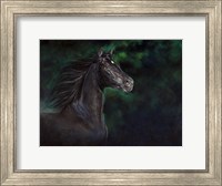 Proud Beauty Fine Art Print