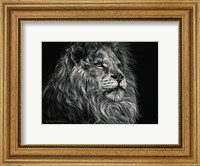 African Lion Fine Art Print