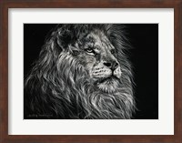African Lion Fine Art Print