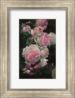 Roses from Pat Fine Art Print