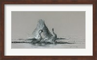 Feathered Dance Fine Art Print