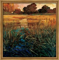 Golden Creek Fine Art Print