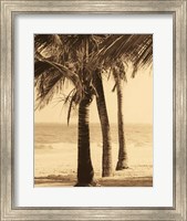Palm Beach II Fine Art Print