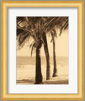 Palm Beach II Fine Art Print