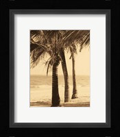 Palm Beach II Fine Art Print