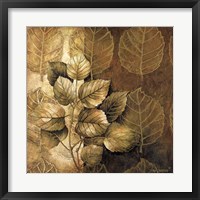Leaf Patterns III Fine Art Print