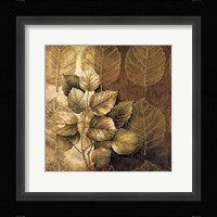 Leaf Patterns III Fine Art Print