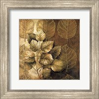 Leaf Patterns III Fine Art Print