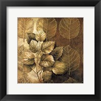 Leaf Patterns III Framed Print