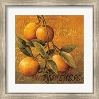 Orange Branch Fine Art Print