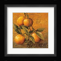 Orange Branch Fine Art Print