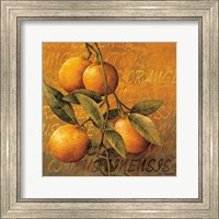 Orange Branch Fine Art Print