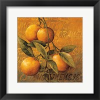 Orange Branch Fine Art Print