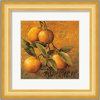 Orange Branch Fine Art Print