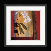 Orchid Lines I Framed Print
