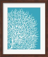 Aqua Coral II Fine Art Print