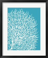 Aqua Coral II Fine Art Print
