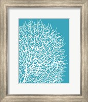 Aqua Coral II Fine Art Print