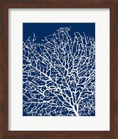 Navy Coral I Fine Art Print