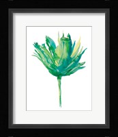 Aria II Fine Art Print