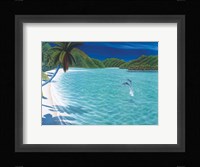 Trunk Bay Fine Art Print