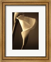 Divinity II Fine Art Print