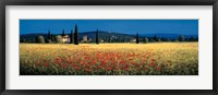 Tuscan Panorama - Poppies Fine Art Print