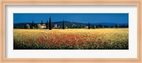 Tuscan Panorama - Poppies Fine Art Print