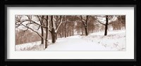 First Snow I Fine Art Print