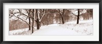 First Snow I Fine Art Print