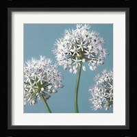 Bliss I Framed Print