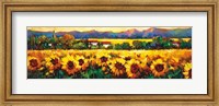 Sweeping Fields of Sunflowers Fine Art Print