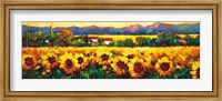 Sweeping Fields of Sunflowers Fine Art Print