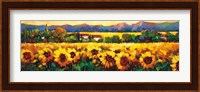 Sweeping Fields of Sunflowers Fine Art Print