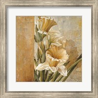 Champagne Daffodils II Fine Art Print