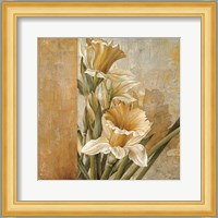 Champagne Daffodils II Fine Art Print