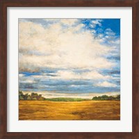 Tranquil Meadow Fine Art Print
