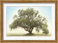 Oak & Blue Sky Fine Art Print