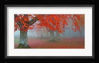 Arboles Rojos Fine Art Print