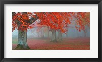 Arboles Rojos Fine Art Print